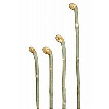 1095/Classic-Canes/Country-Walking-Sticks-Knobstick